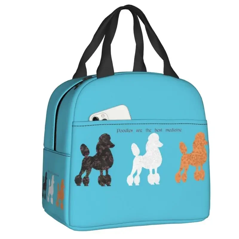 France Standard Poodle Insulat - Women'S Best Bags For Work 评论和价格